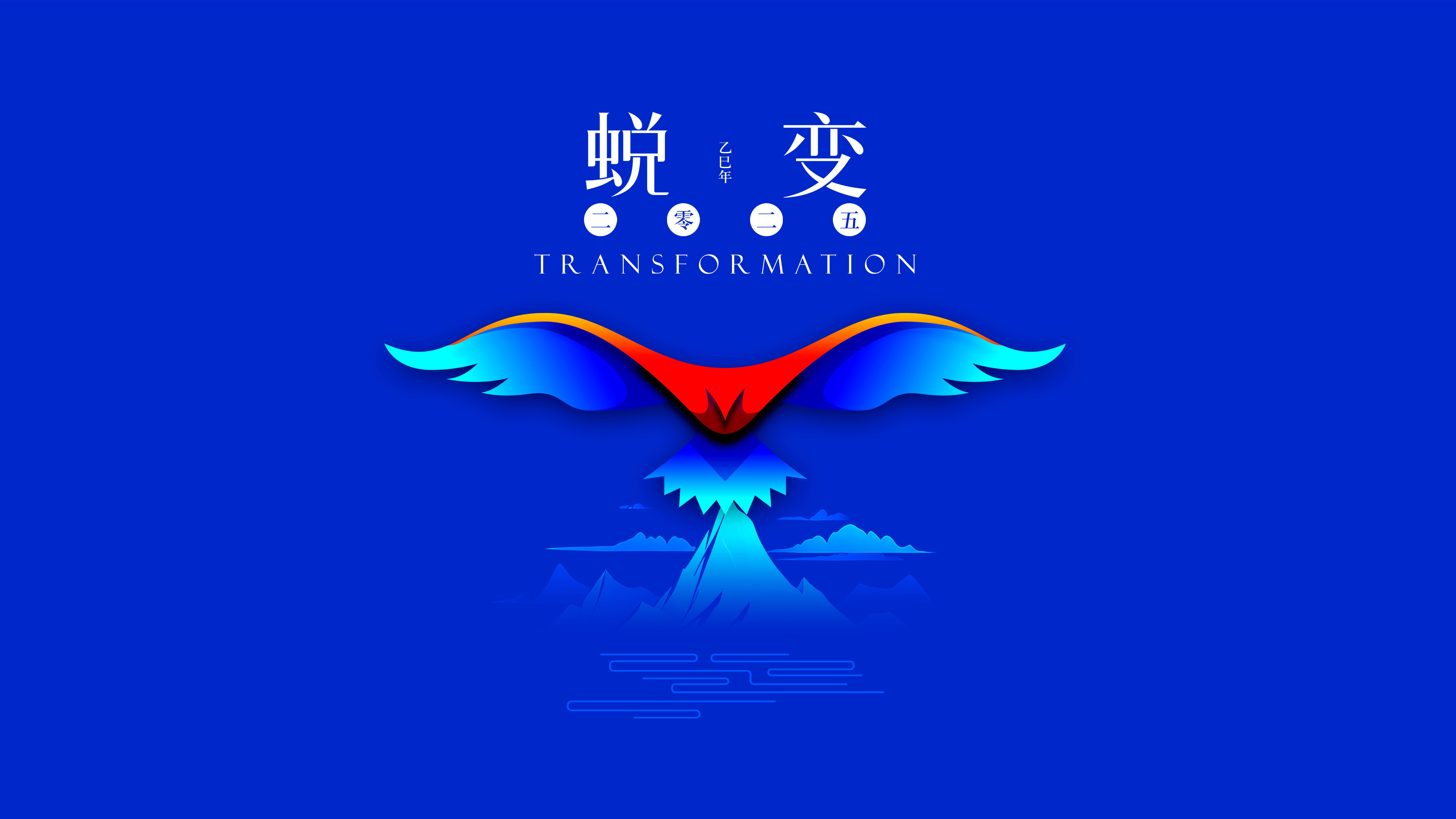 我與海星的2024，期待2025年與您一起續(xù)寫(xiě)美好篇章
